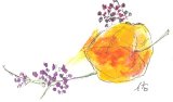 画像:  ほうずきと実　　　カット　　水彩