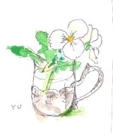 画像:  白いパンジー　　　水彩　　　カット