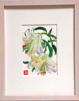 画像: カサブランカ　　ミニアチュール　　葉書サイズ　　　　ペンに水彩