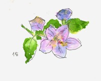 画像: 絵とつれづれに