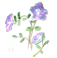 画像1: カット　　　　　小さな花　　　　　ペンに水彩