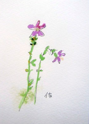 画像1: 野の花　　　カット　　　ペンに水彩