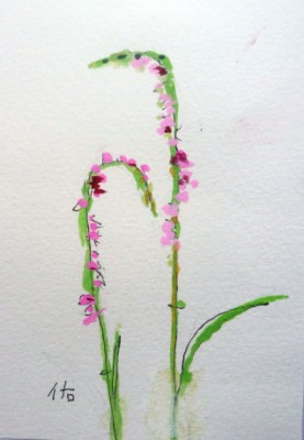画像1: 野の花　　　カット　　　ペンに水彩　　