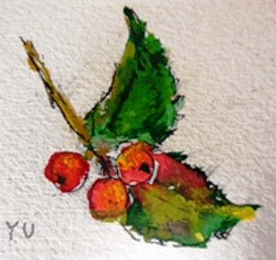画像1: 柊の実　　カット　　ペンに水彩　