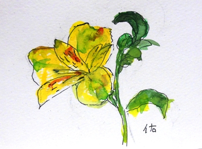画像1: 黄色い花。　　カット　　　ペンに水彩